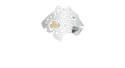 Luckleopard